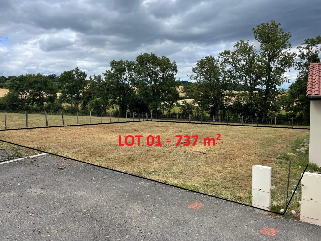 LOT 01